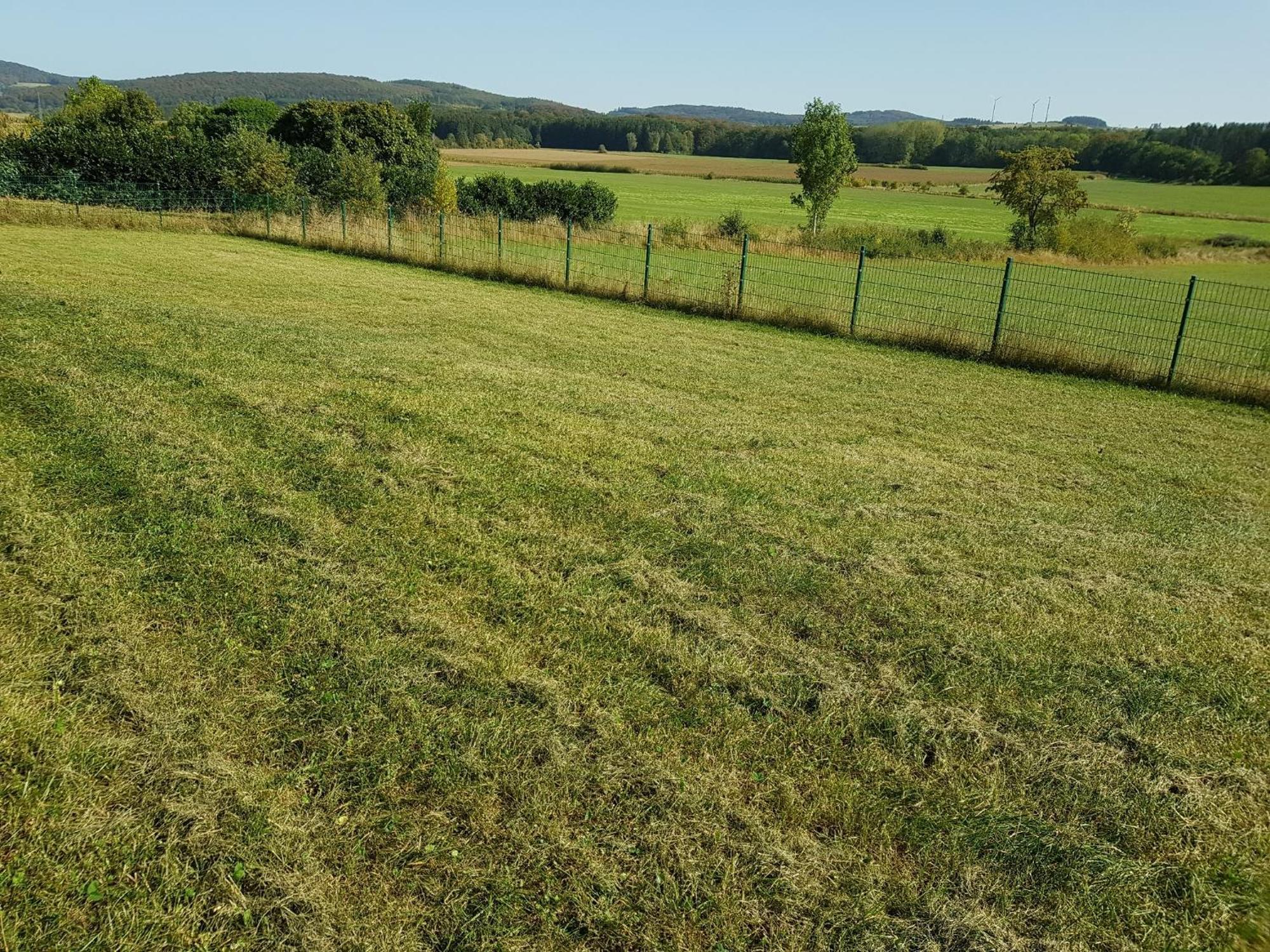Wolfshuette Hillesheim (Vulkaneifel) Exterior foto